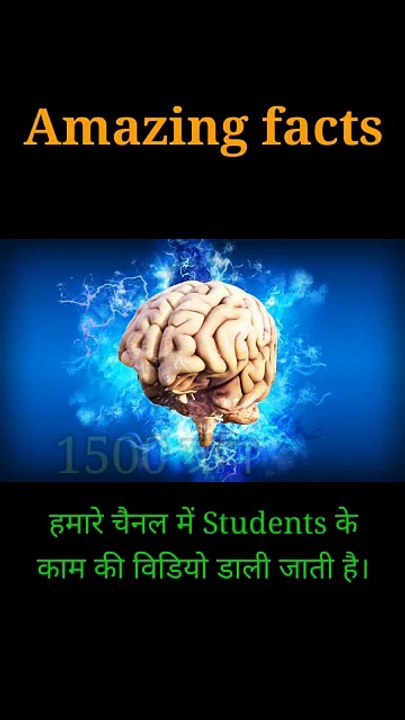 मनुष्य के दिमाग का वजन कितना होता है