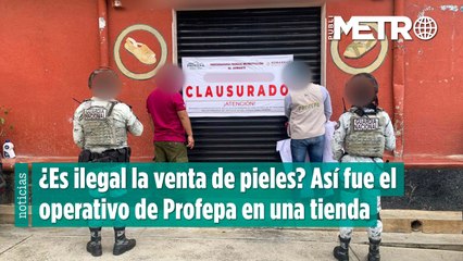 ¿Es ilegal la venta de pieles Así fue el operativo de Profepa en una tienda_HOR