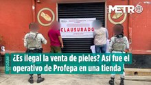 ¿Es ilegal la venta de pieles Así fue el operativo de Profepa en una tienda_HOR