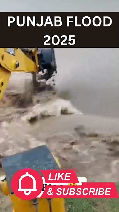 Punjab Flood 2025 | Heavy Rain, Waterlogging & Rescue Updates