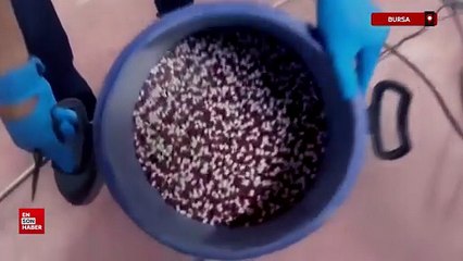 Bursa’da 300 Bin adet Uyuşturucu Hap ele geçirildi