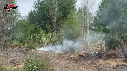 A Seminara 70 tonnellate di compost in una discarica illegale: svelato il mistero dei fumi a Gioia Tauro