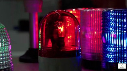 💙 The Role of Adult Children in Protecting Their Widowed Parent 💙