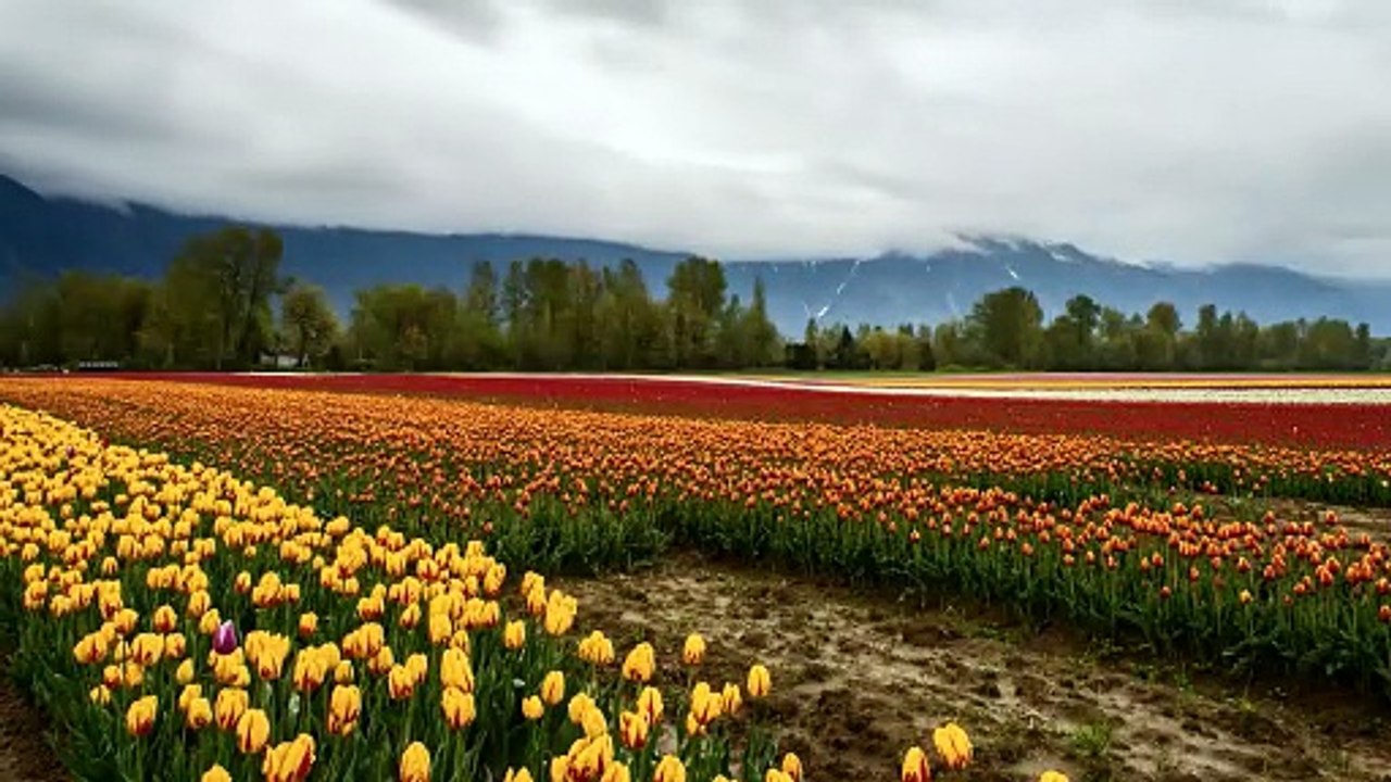 Drop the bad habits while you have control over them