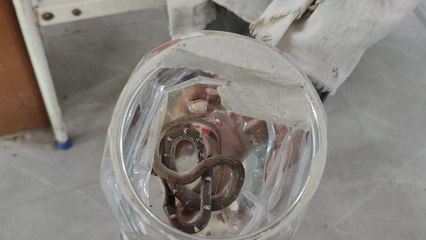 मजदूर को सांप ने काटा