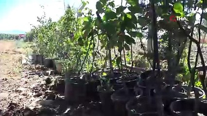 Bursa'da örnek öğretmen! Yaptıklarıyla yüreklere dokunuyor