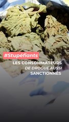 200 euros d'amende pour un rouleau de zamal