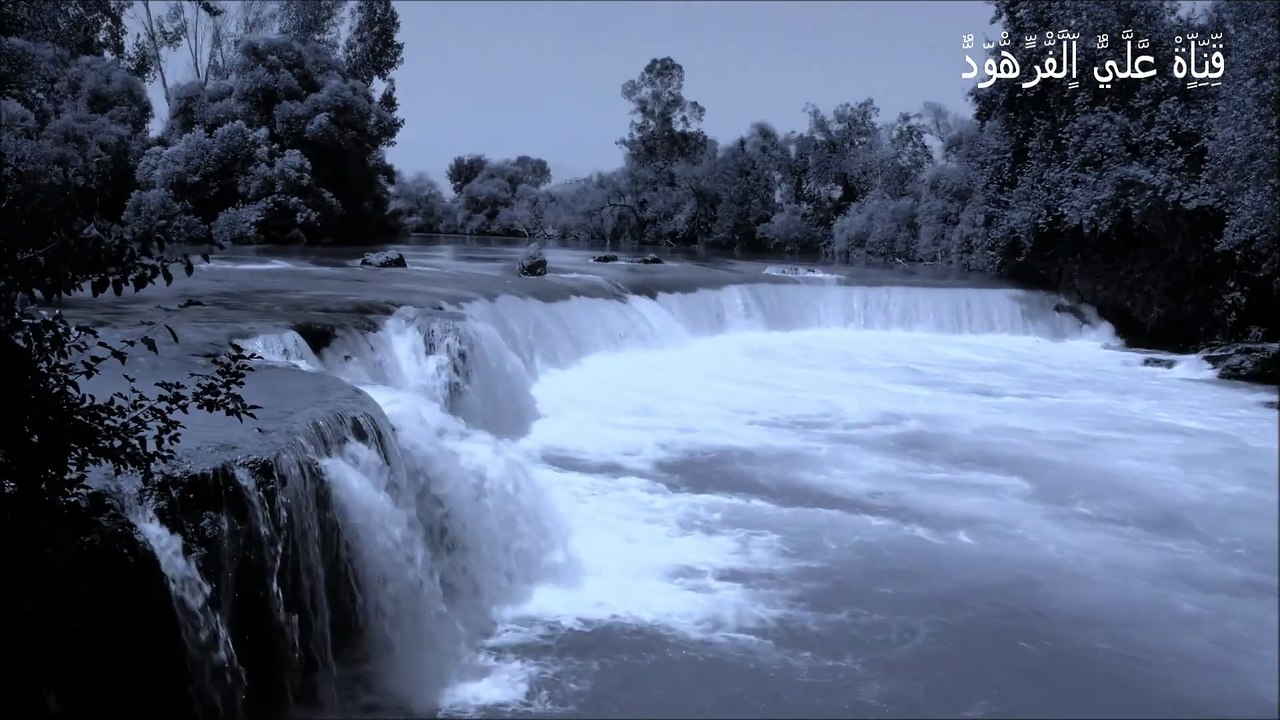 قناة علي الفرهود القران الكريم صوت حزينه
