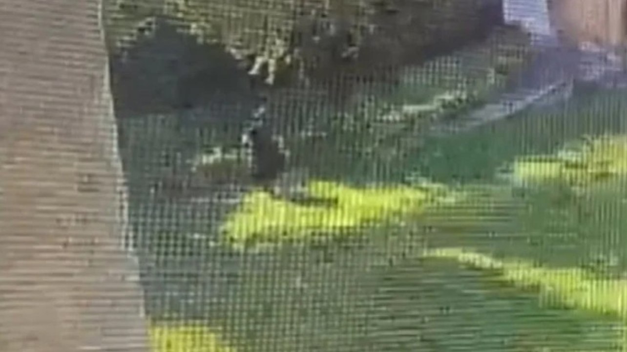 Şişli'de 2 ayrı noktada kasten yangın çıkardığı öne sürülen zanlı yakalandı