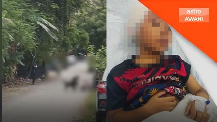 Anjing serang, gigit budak enam tahun tidak ada pemilik