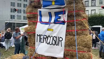 Protest rolników w Brukseli przeciwko umowie handlowej UE-Mercosur