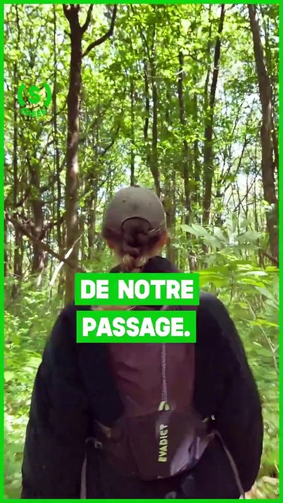 SIMONE - GREEN : 3 choses à ne plus faire à la plage