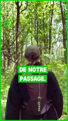 SIMONE - GREEN : 3 choses à ne plus faire à la plage