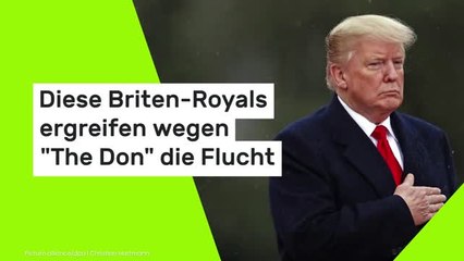 Diese Briten-Royals ergreifen wegen "The Don" die Flucht