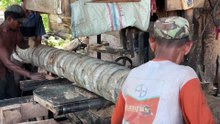 Sawmill Machine, A Reliable Tool in Sawing Coconut Trees 5x7