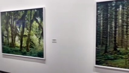 Mitch Epstein, American Nature. Il video della mostra a Torino