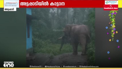 പാലക്കാട് അട്ടപ്പാടിയിൽ ജനവാസ മേഖലയിൽ കാട്ടാന; ഒറ്റയാനെത്തിയത് മുക്കാലി ഉന്നതിയിൽ