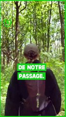 Et si on profitait de la plage sans la détruire ? Notre journaliste @poline_blc t’explique trois ge