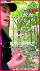 « AAAH UN SANGLIER ! » @mariealbertfr randonne seule, enfin sauf cette fois puisque @poline_blc