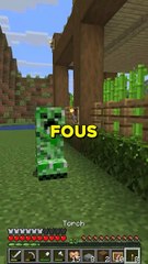 5 choses qui rendent fou sur minecraft