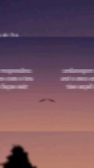 Versículo do dia 05/09/25 #versículo #versículododia #palavradedeus #versículobíblico