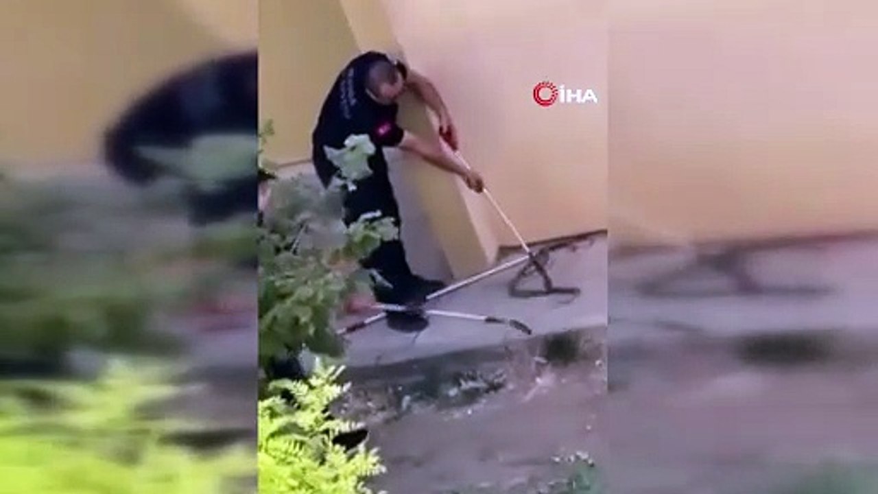 Konut bahçesinde 1,5 metre uzunluğunda yılan görüldü