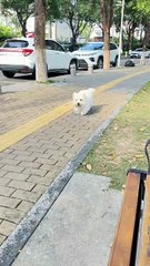 You just came out not long ago and you want to go home again?