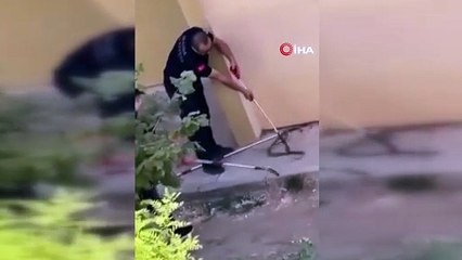 Bursa'nın İnegöl ilçesinde bir toplu konutun bahçesinde görülen yılan, kısa süreli paniğe neden oldu.