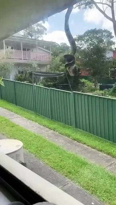 Welcome to Australia 🇦🇺