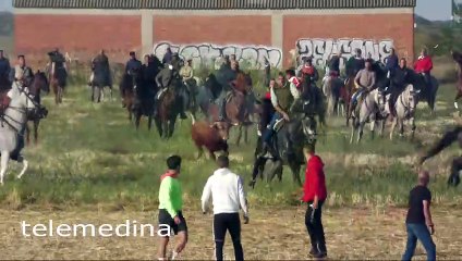 Tres caballistas embestidos en el segundo encierro en Medina del Campo