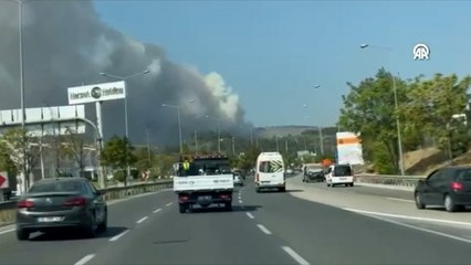 Bursa'da orman yangını çıktı: Ekiplerin müdahalesi sürüyor