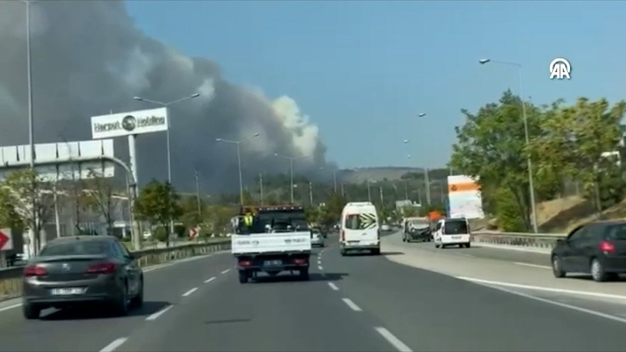 Bursa'da orman yangını çıktı: Ekiplerin müdahalesi sürüyor