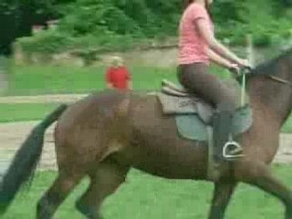 concour avec dora