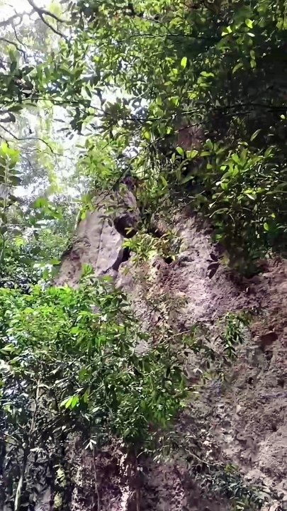 Filosofi Alam, Bumi Rumah Kita