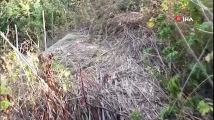 Sakarya’da uyuşturucu operasyonu: 1 tutuklama