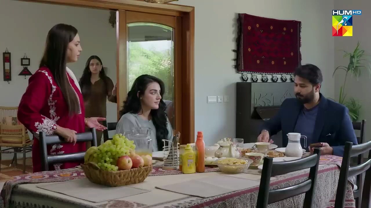 Woh Ziddi Si - Episode 11  [ Aina Asif & Ali Abbas ]