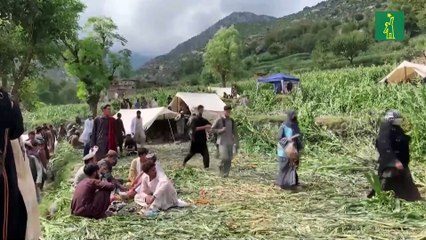 Armanullah, de 6 años, el niño que sobrevivió solo al fin de su mundo en Afganistán