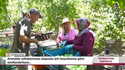 Topraktan Sofraya - Bursa | 7 Eylül 2025