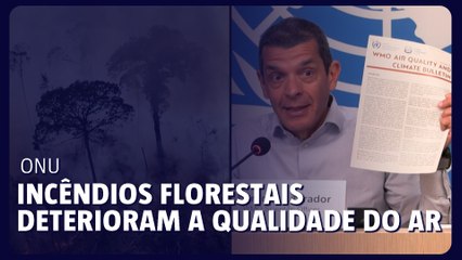 ONU Incêndios florestais deterioram a qualidade do ar a quilômetros de distância