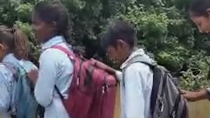 जान जोखिम में डाल नदी पार करते स्कूली बच्चे, Video Viral