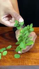 Refreshing Masala Thumps Up ASMR #shorts #food #cooking #asmr #recipe #crunchytreats