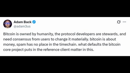 Adam Back's Insights on Bitcoin: Innovation, Spam, and Network Debates