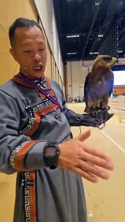 eagle