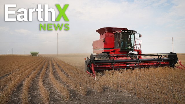 Why Midwestern Farmers REJECT Cover Crops | EarthxNews Full Episode