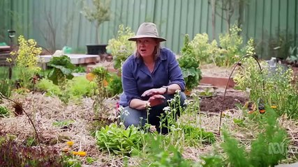 Gardening Australia Season 36 Episode 28
