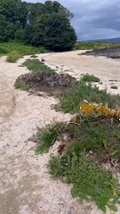 Girl comes across a body wrapped in bin bags on a beach