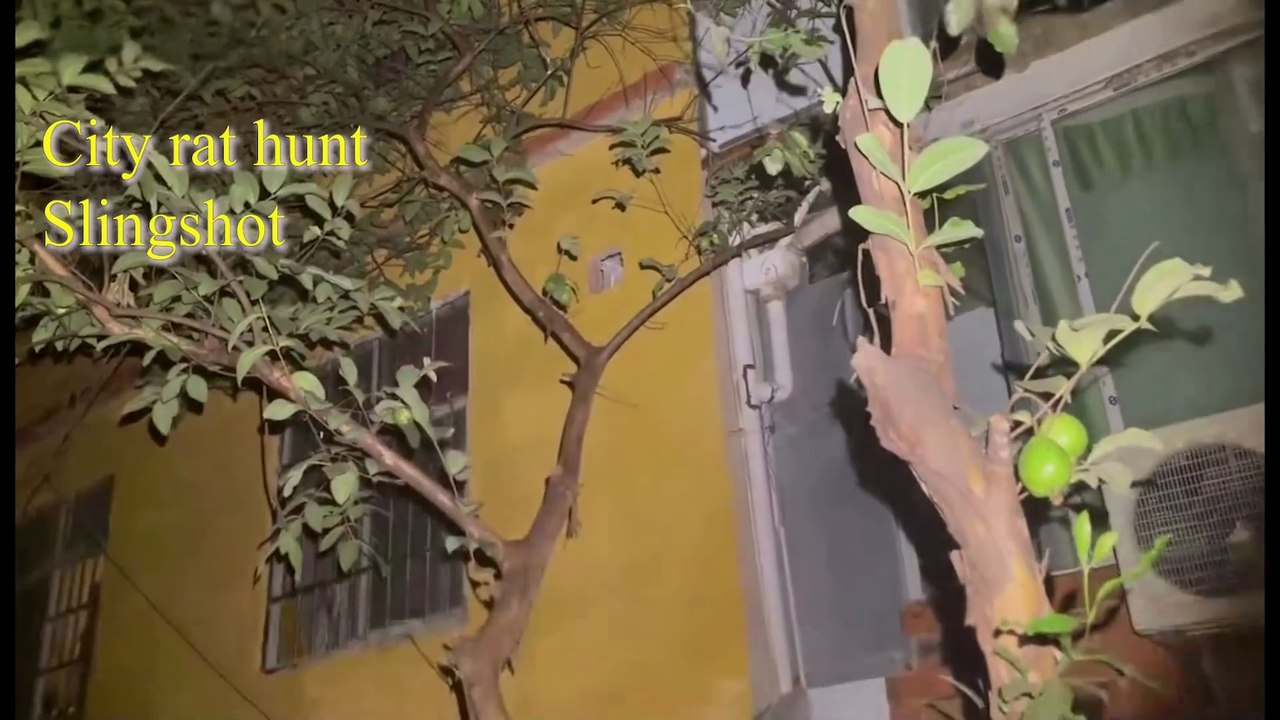 Slingshot vs. Rats: One Shot One Kill – Epic Slow-Mo Edition 🎯🐀