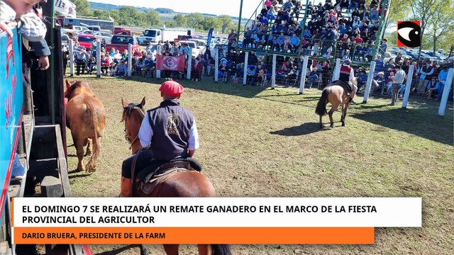 El domingo 7 se realizará un remate ganadero en el marco de la fiesta provincial del agricultor