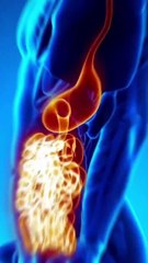 snapsave-app_571635012606983_hd