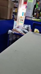 Unboxing  review of the Mist Outdoor Sensory Retro Nostalgic LED Lantern